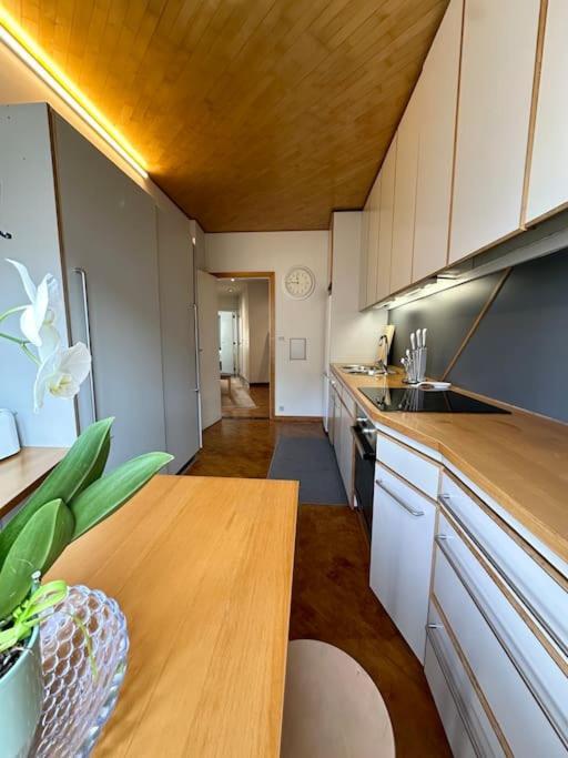 Cosy & Spacious * Antwerp