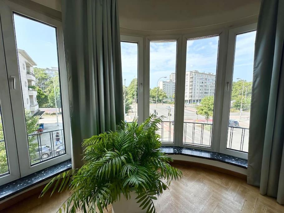 Cosy & Spacious Appartement